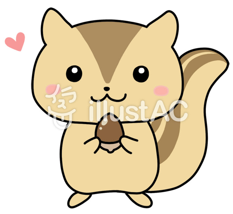 ベストコレクション かわいい リス イラスト 簡単