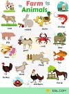 animal names in english Learn animal names in english