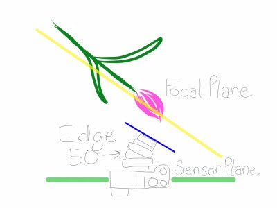 Levi_Sim Edge 50-2