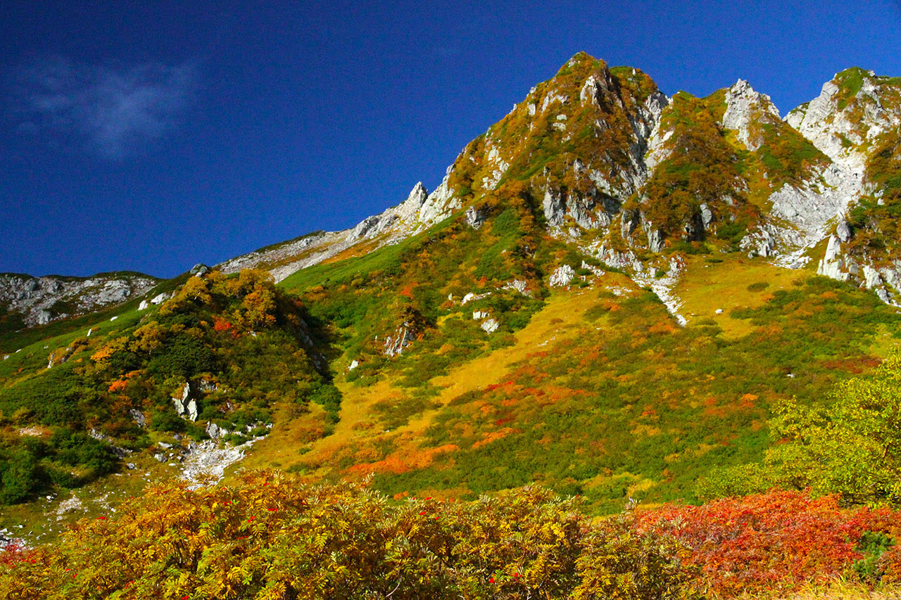 紅葉壁紙 千畳敷カール２ 四季の山野草