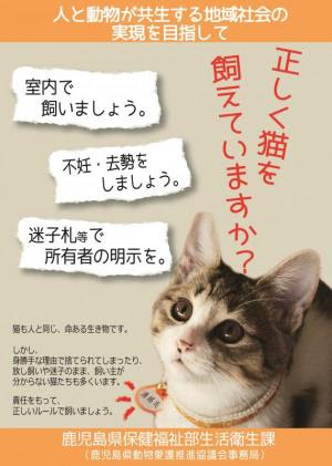 鹿児島県 猫の飼い方
