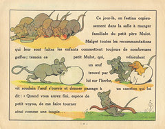 rabier mulot p15