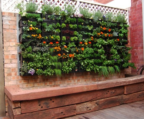 ... gardening, and aquaponics. Can they be friends? Of course they can