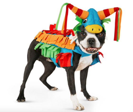 Friday Fetch: 10 Awesome Halloween Costumes for pets