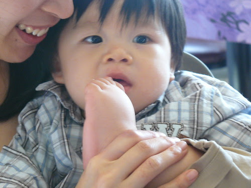 eating my foot
