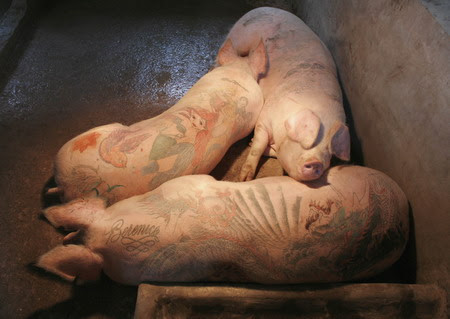 tattoos on pig
