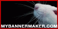create your own banner at mybannermaker.com!
