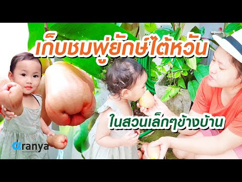 รูปภาพ