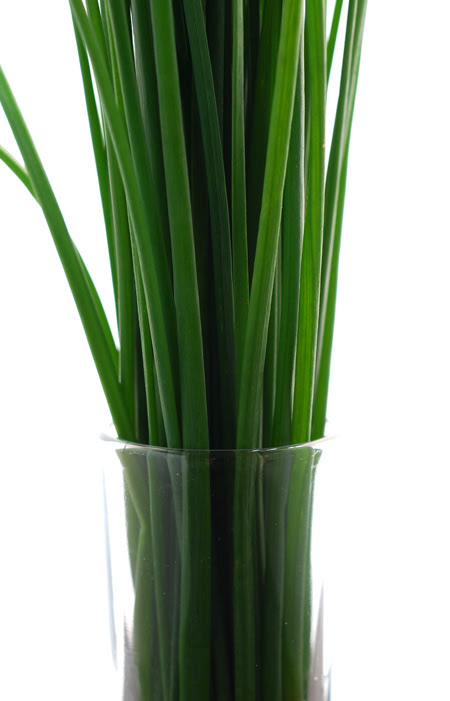 chives© by Haalo