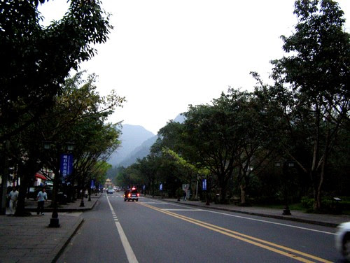 PA100208 by you.