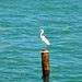 lonely @ Kota Kinabalu