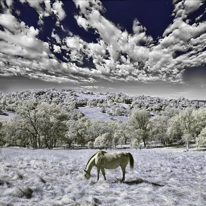 Digital Photography Training