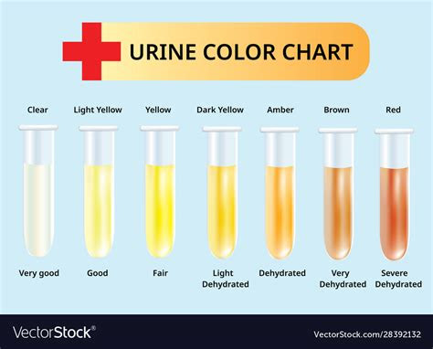  urine color chart urine in test tubes medical vector image