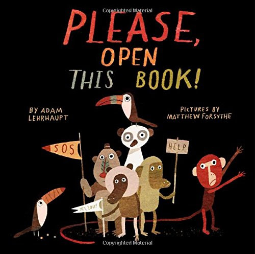 Please, Open This Book!, by Adam Lehrhaupt