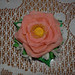 Rosa e gelsomini
