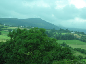 Copy of IMG_4132