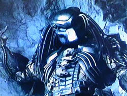 Gigglles Avpの彼ら