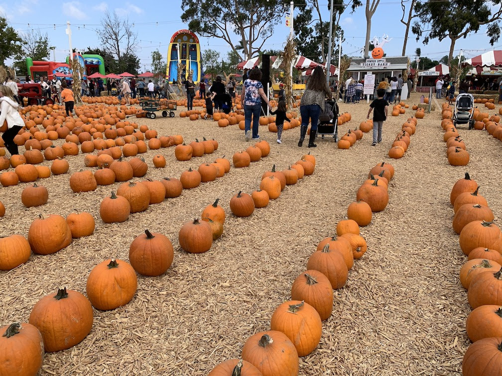 アメリカのハロウィンって何をする 個性的な家の飾り付けも紹介 安定リーマン
