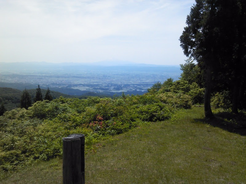 518b8a88.jpg
