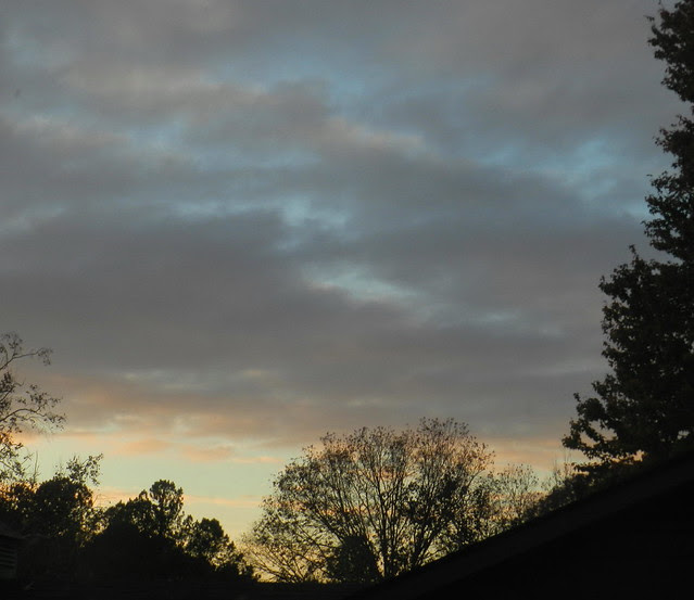 skywatfDSCN8383