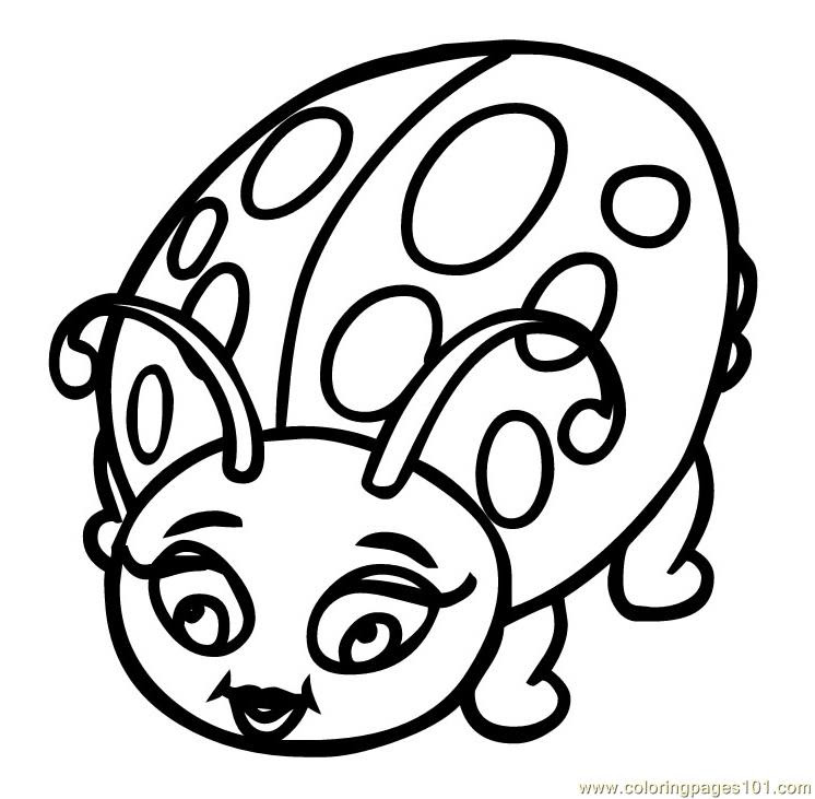 Printable Ladybug Coloring Ladybug Life Cycle Clip Art Library