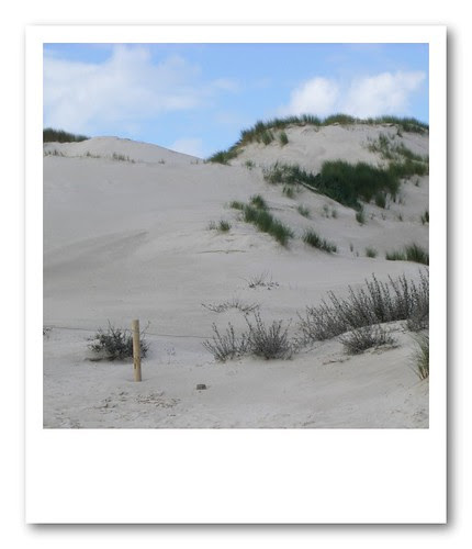 dune1