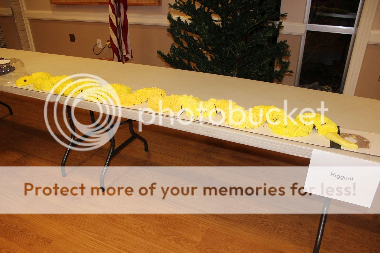 photo cake9_zps036d3587.jpg