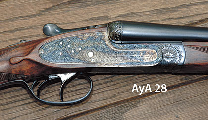 Great Bird Guns - Gun Dog