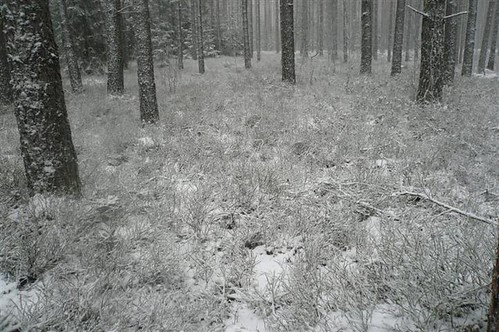 P1290212