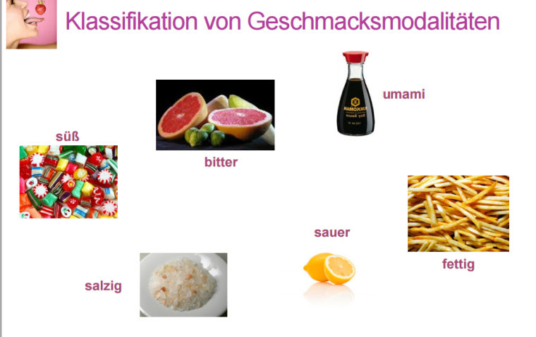 w.uni-kiel.de/zoologie/zoophysiologie/agroeder/Chemorezeption_Biol115.pdf
