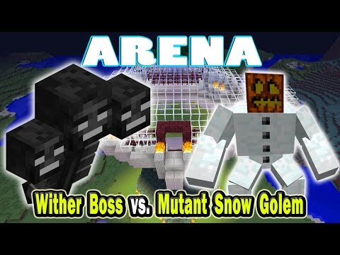 Minecraft Arena Battle Wither Boss Vs. Enderman  How To 