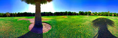 The Park