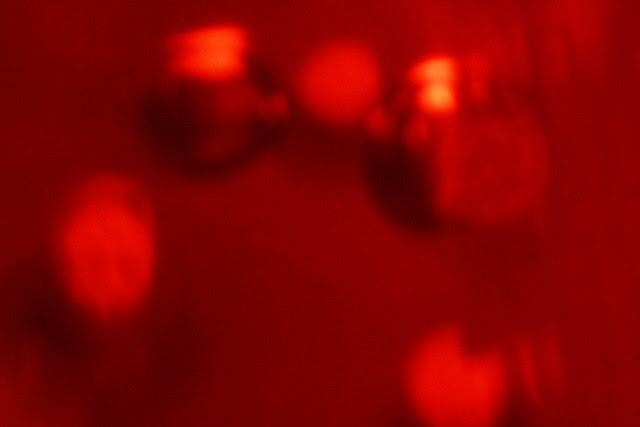 Day 300 - Pomegranate Moisture Beads