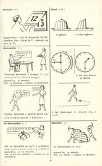 didierdico p66