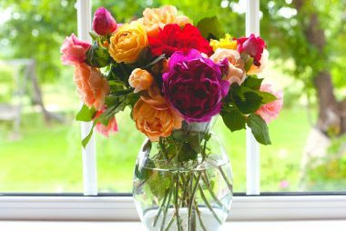 flowers