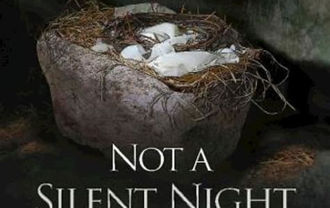 Download Not a Silent Night: Mary Looks Back to Bethlehem (Not a Silent Night Advent) Epub PDF