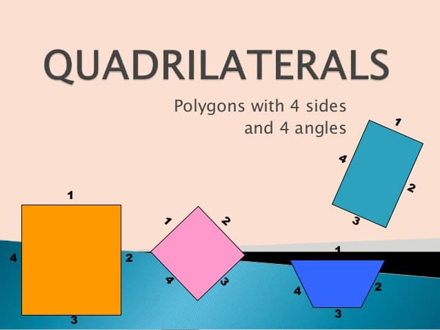 Understanding Quadrilaterals worksheet for class 8 | myCBSEguide