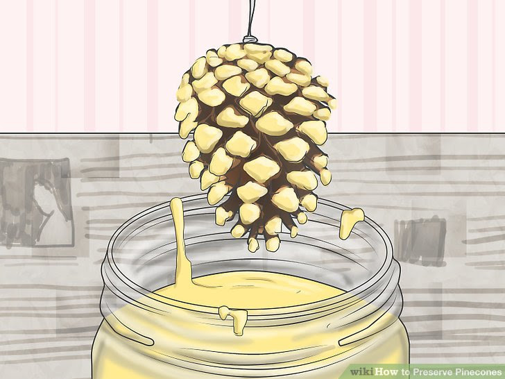 Preserve Pinecones Step 15.jpg