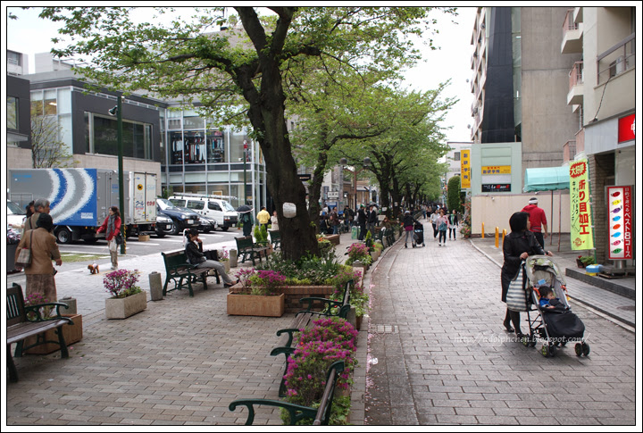20100424P4241106