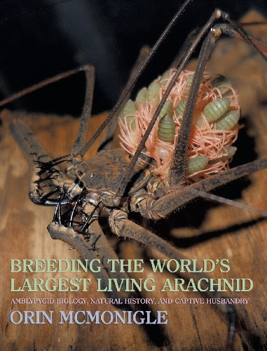 Breeding the World's Largest Living Arachnid: Amblypygid (Whipspider) Biology, Natural History, and Captive HusbandryBy Orin McMonigle
