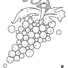 Desenhos para colorir de desenho de uma laranja para colorir  -pt.hellokids.com