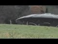 ΔΕΙΤΕ το βίντεο ντοκουμέντο με UFO και εξωγήινους..