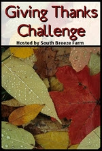 http://southbreezefarm.blogspot.com/2008/10/thankful-month.html