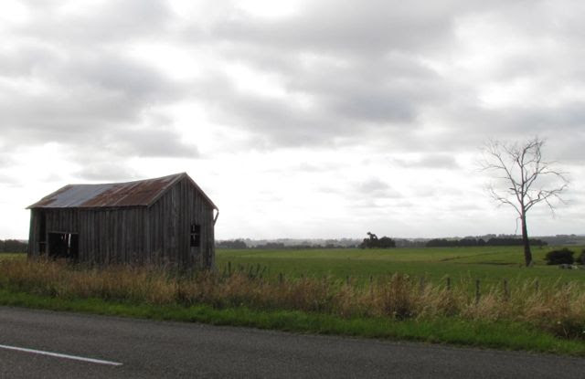 kiwitea-shed.jpg