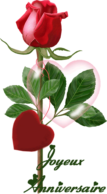 Q Tbn And9gctpul7skhewb9dt6iw2xulg8jml7yx F4ojvw Usqp Cau