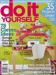 Do It Yourself magazine cover