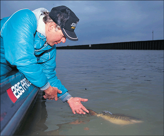 The Best Smallmouth Baits - In-Fisherman