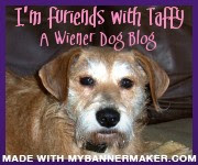 Create your own banner at mybannermaker.com!