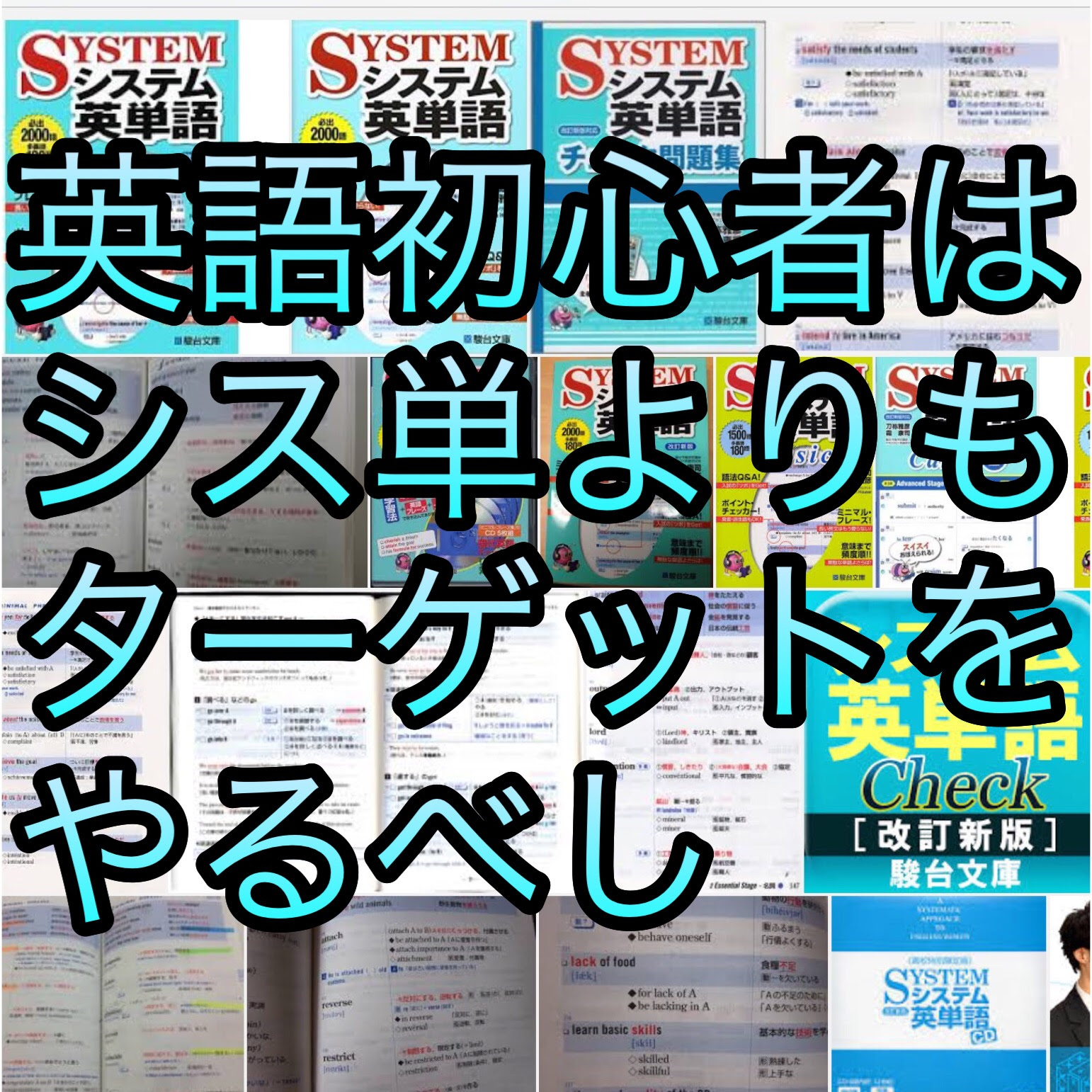 システム英単語をオススメしない理由 使い方がわからない参考書は使えない 大学受験nature公式ブログ