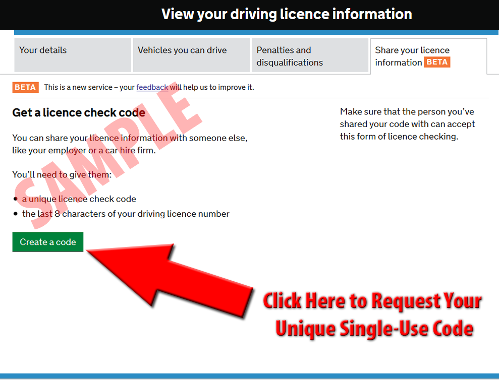 Driving Licence Check Explanation Pic 02